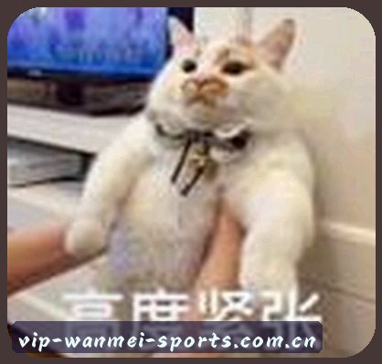 孙伟